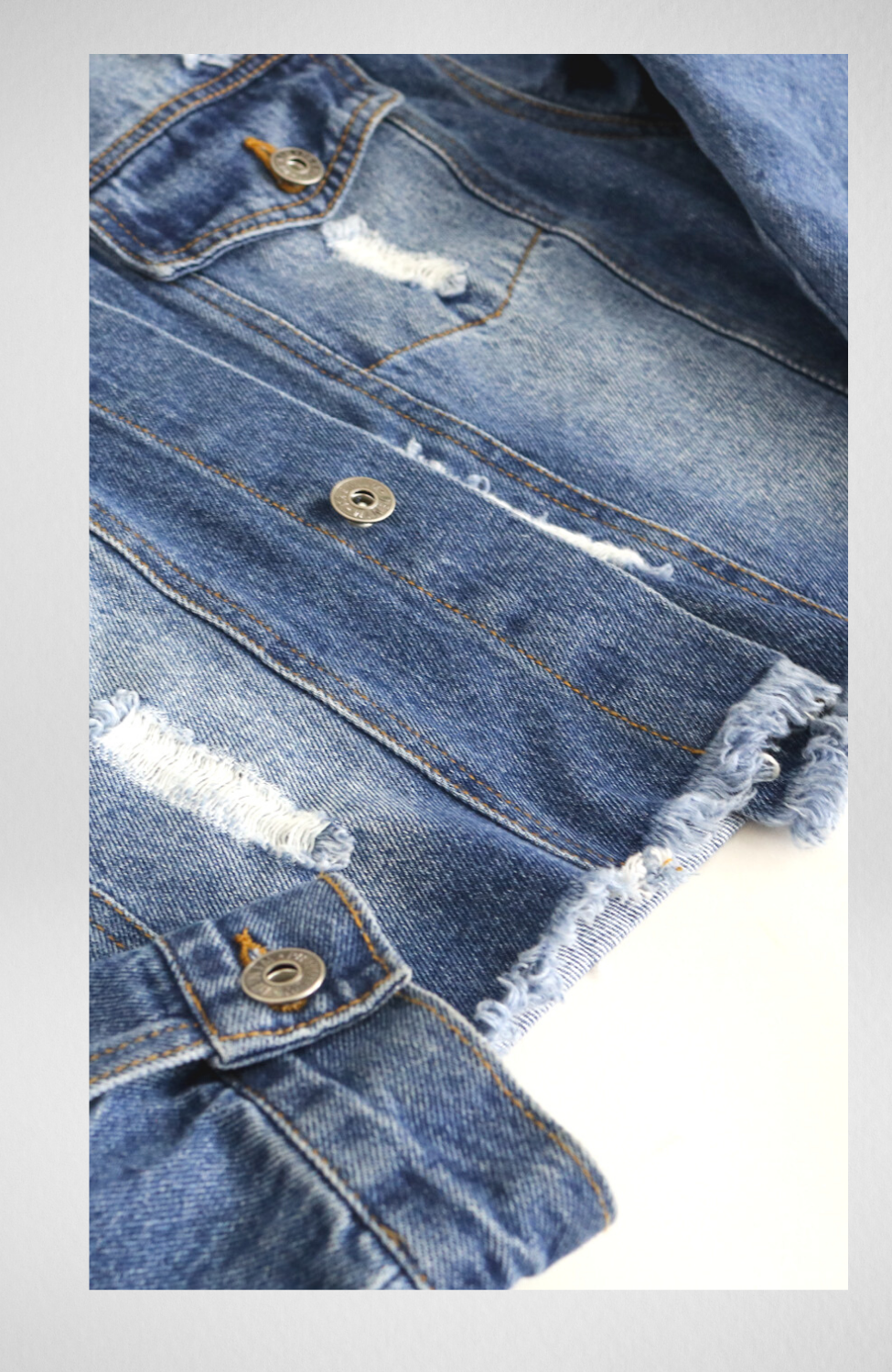 Nyla Distressed Cropped Denim Jacket